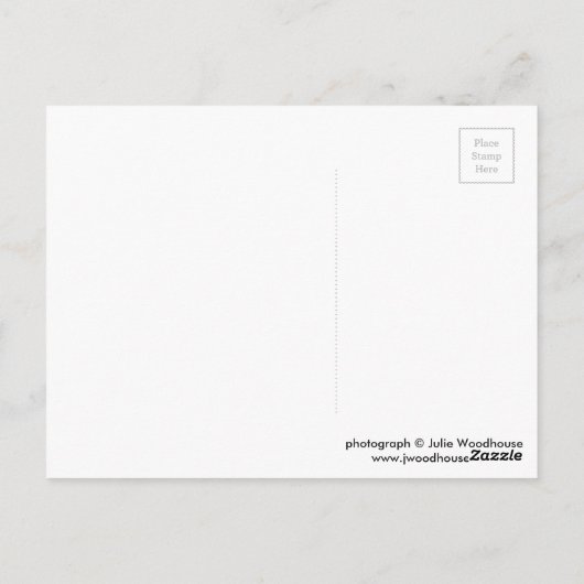 Lüneburg Briefkaart (Achterkant)