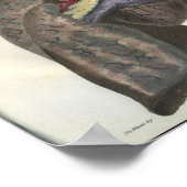 Lung Heart  Anatomy Print (Hoek)