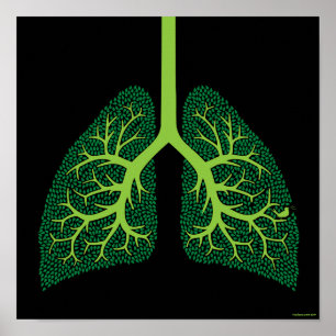 Lung Tree Poster