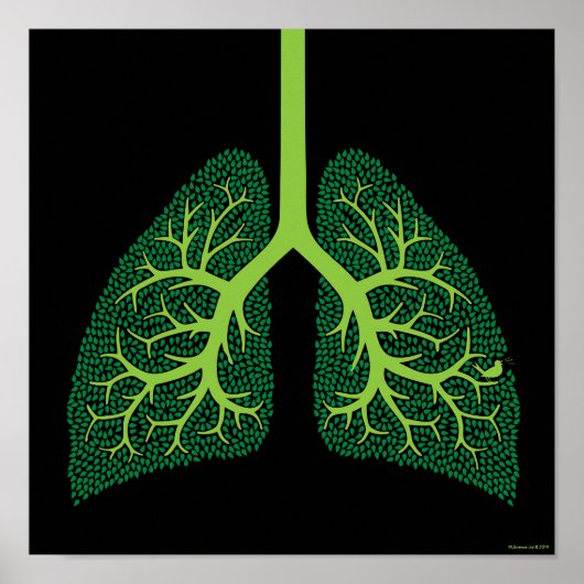Lung Tree Poster (Voorkant)