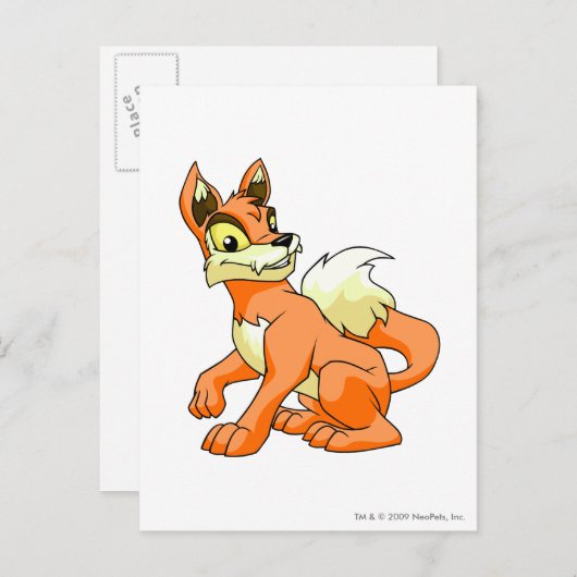 Lupe Sinaasappel Briefkaart (Voorkant / Achterkant)