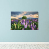 Lupin Field in Nieuw-Zeeland Canvas Afdruk (Insitu (Houten vloer))