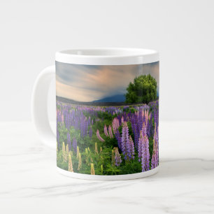 Lupin Field in Nieuw-Zeeland Grote Koffiekop