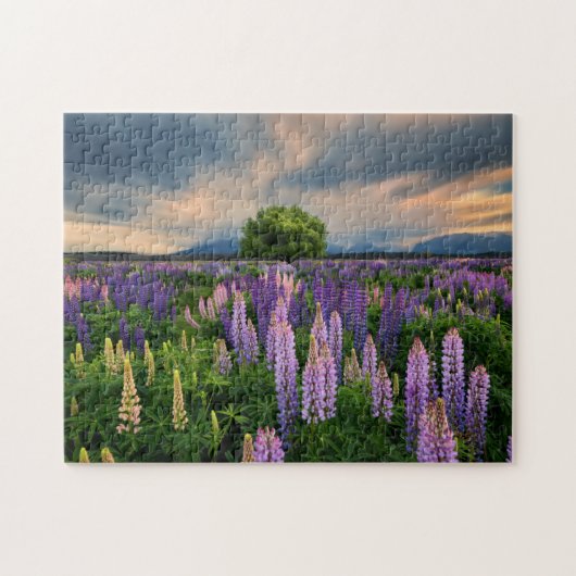 Lupin Field in Nieuw-Zeeland Legpuzzel (Horizontaal)