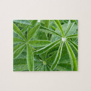 Lupin Leaves Botanische fotografie Legpuzzel
