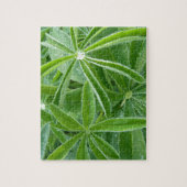 Lupin Leaves Botanische fotografie Legpuzzel (Verticaal)