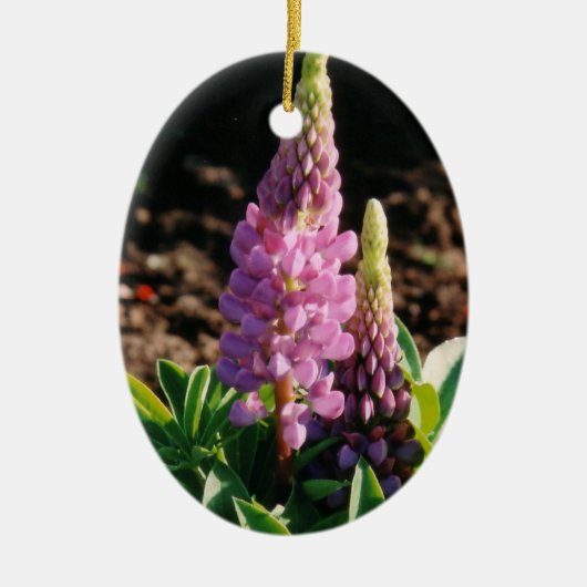 Lupin Ornament (Voorkant)