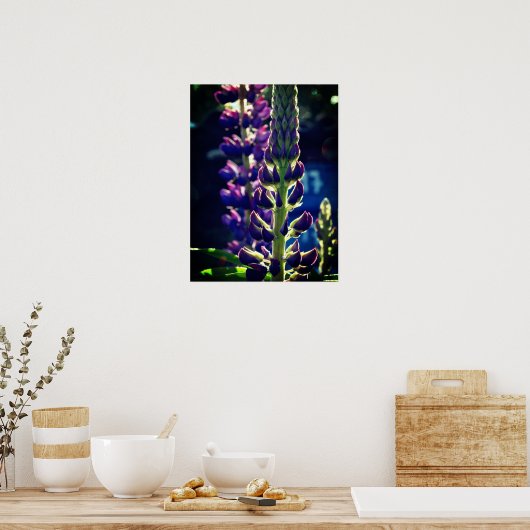Lupina Photo Poster (Keuken)