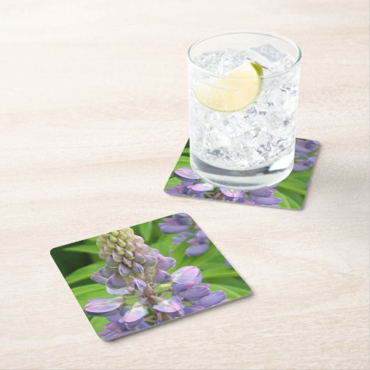 lupine-3 kartonnen onderzetters (Insitu)