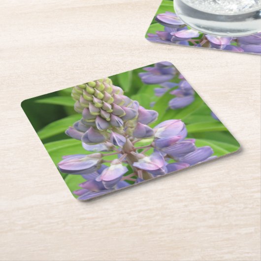 lupine-3 kartonnen onderzetters (Schuin)