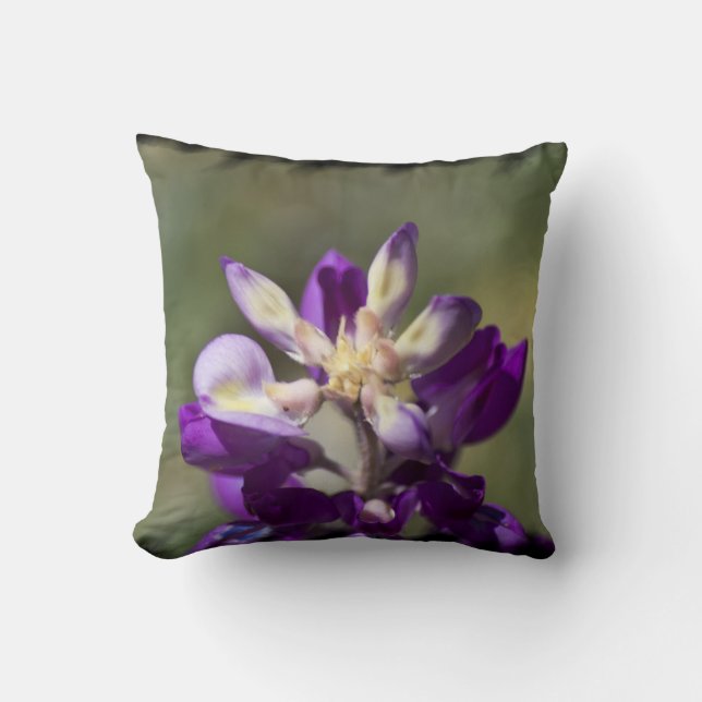 Lupine Black Edge Kussen (Voorkant)