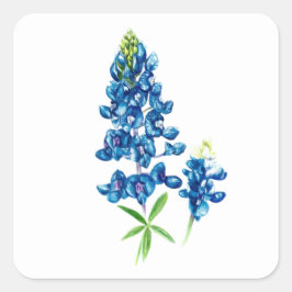 Lupine Bloem Vierkante Sticker