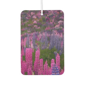 Lupine Bloemenveld Natuur Esthetische Print  Luchtverfrisser