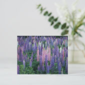 Lupine Briefkaart (Staand voorkant)