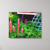 Lupine Canvas Afdruk (Voorkant)