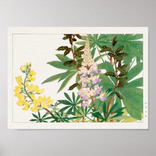 Lupine door Tanigami Konan Poster