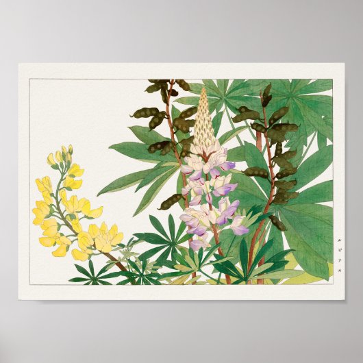 Lupine door Tanigami Konan Poster (Voorkant)