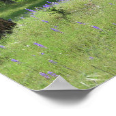 Lupine, eikenboomlandschap poster (Hoek)