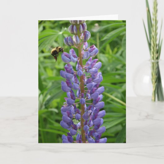 Lupine en bij notecard kaart (Voorkant)