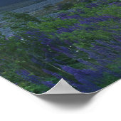 Lupine en de hoofdivisie, Arthur's Pass, South Poster (Hoek)