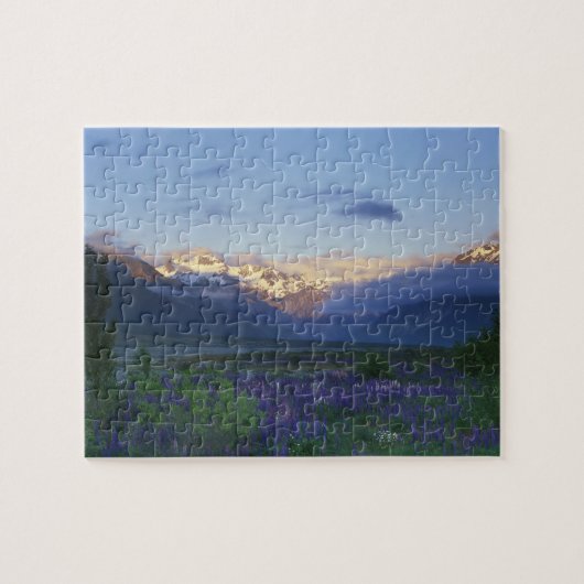 Lupine en de Main Divide, Arthur's Pass, Zuid Legpuzzel (Horizontaal)