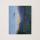 Lupine en de Main Divide, Arthur's Pass, Zuid Legpuzzel (Verticaal)