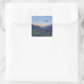 Lupine en de Main Divide, Arthur's Pass, Zuid Vierkante Sticker (Tas)