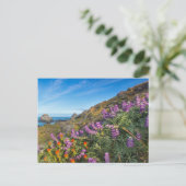 Lupine- en verfkwast-wilde bloemen briefkaart (Staand voorkant)