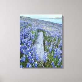 Lupine Field Canvas Afdruk
