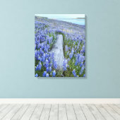 Lupine Field Canvas Afdruk (Insitu (Houten vloer))