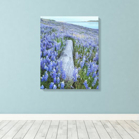 Lupine Field Canvas Afdruk (Insitu (Houten vloer))