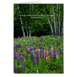 Lupine Field viert diversiteit