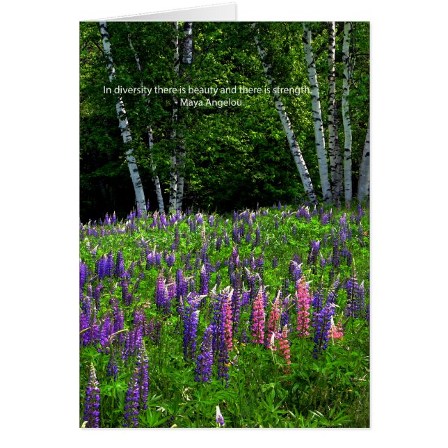 Lupine Field viert diversiteit (Voorkant)