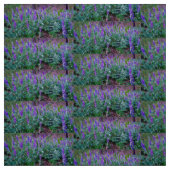 Lupine Fields Stof (Swatch)