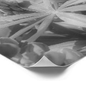 Lupine Flower Trio Partiële kleur Poster (Hoek)