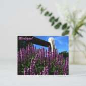 Lupine Garden Briefkaart (Staand voorkant)