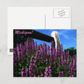 Lupine Garden Briefkaart (Voorkant / Achterkant)
