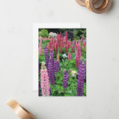 Lupine Garden Notitiekaartje (Voorkant / Achterkant in situ)