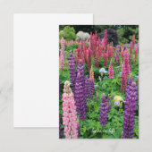 Lupine Garden Notitiekaartje (Voorkant / Achterkant)