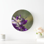 Lupine Grote Klok (Huis)