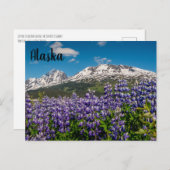 Lupine in Bloom Alaskan Briefkaart (Voorkant / Achterkant)
