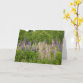 Lupine Kaart (Gele Bloem)