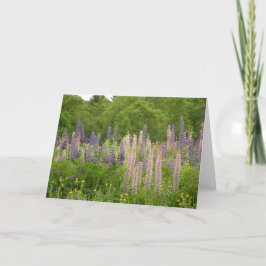 Lupine Kaart