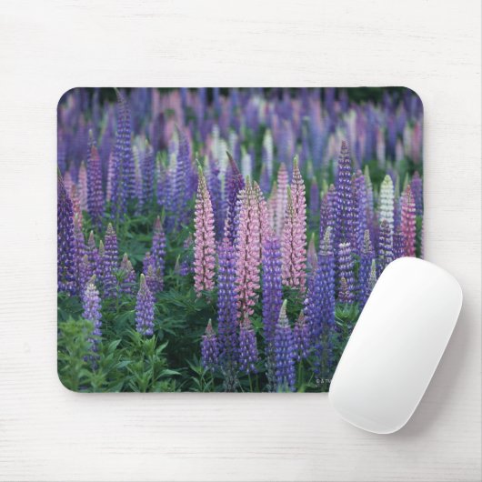 Lupine Muismat (Met muis)