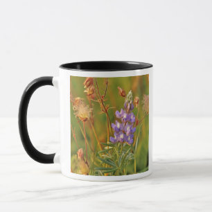 Lupine & Prairie Smoke wilde bloemen in Montana 2 Mok
