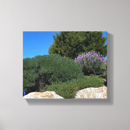 Lupine Rocks. Canvas Afdruk (Voorkant)