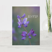 Lupine RSVP veld (Voorkant)