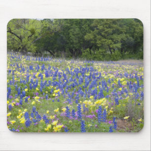 Lupine, sleutelbloem en flox muismat