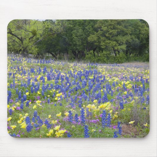 Lupine, sleutelbloem en flox muismat (Voorkant)