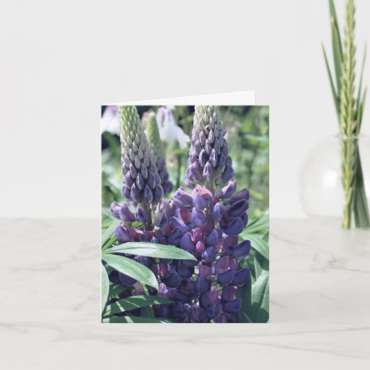Lupine Trio Bloemfotografie Notitiekaartje (Voorkant)